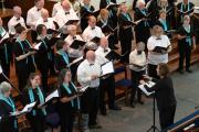 IMG 4771